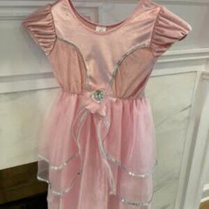 Pink Dress Up Princess (Little Adventures Size Medium, Ages 3-5)